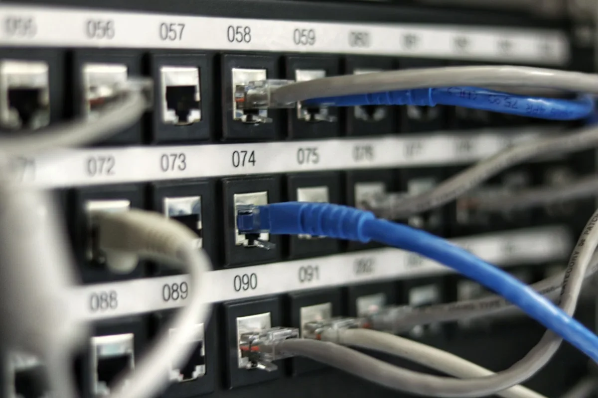 Network cables connected to a server representing hosting performance